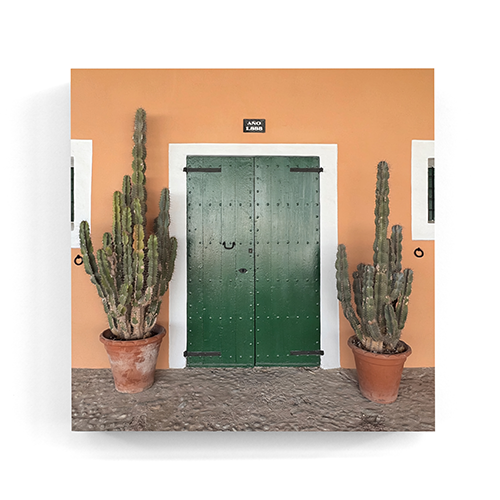 Green cactus door Santa Eulària Ibiza wall art wood print 10x10 cm