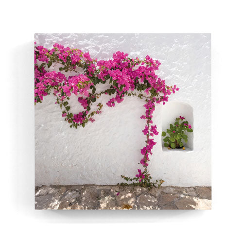 Bougainvillea finca Ibiza wall art wood print 10x10 cm