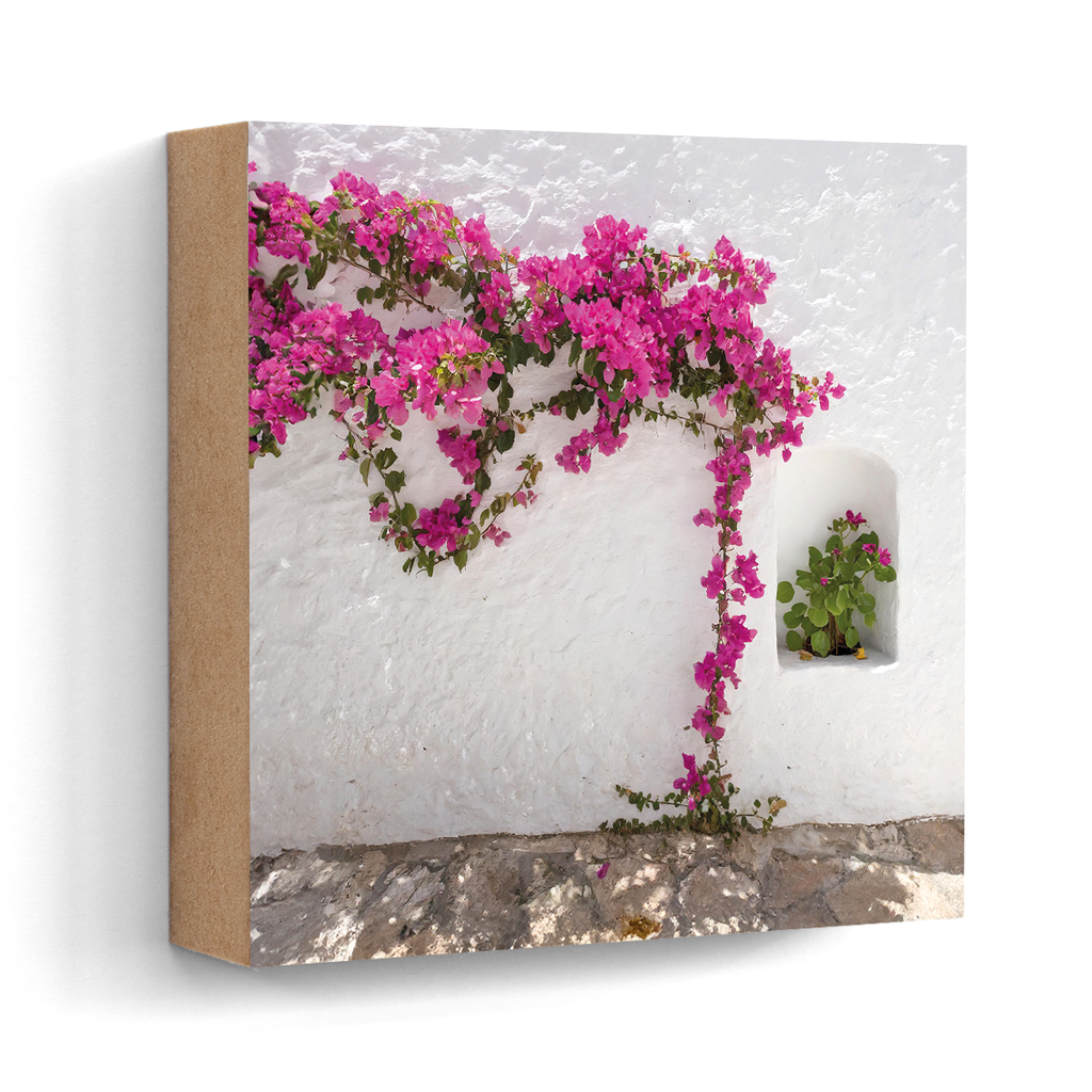 Bougainvillea finca Ibiza wall art wood print 10x10 cm