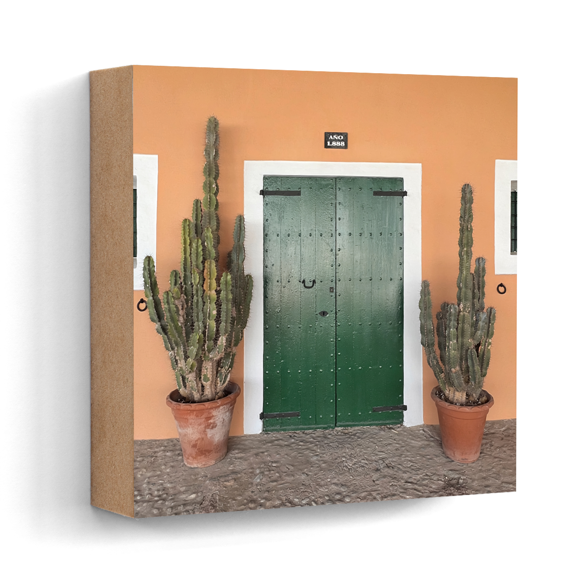 Green cactus door Santa Eulària Ibiza wall art wood print 10x10 cm