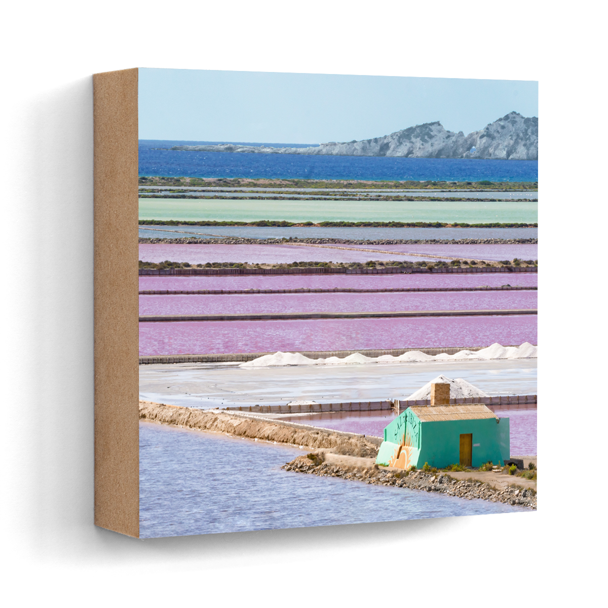 Ses Salines salt flats panorama Ibiza wall art wood print 10x10 cm